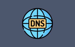 Read more about the article DNS ගැන සිංහලෙන් – පලමු කොටස